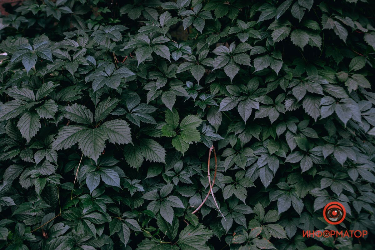 Заставка для вашего рабочего стола Заставка для вашего рабочего стола