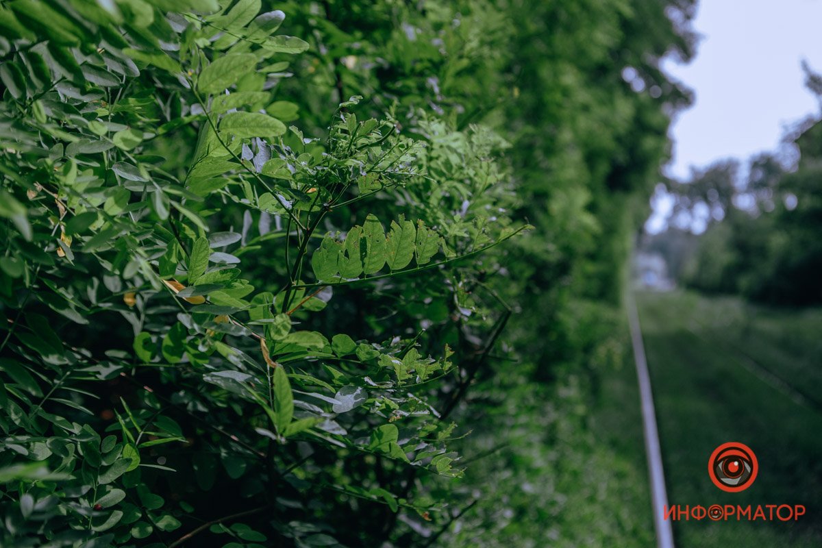 Свой тоннель любви Свой тоннель любви