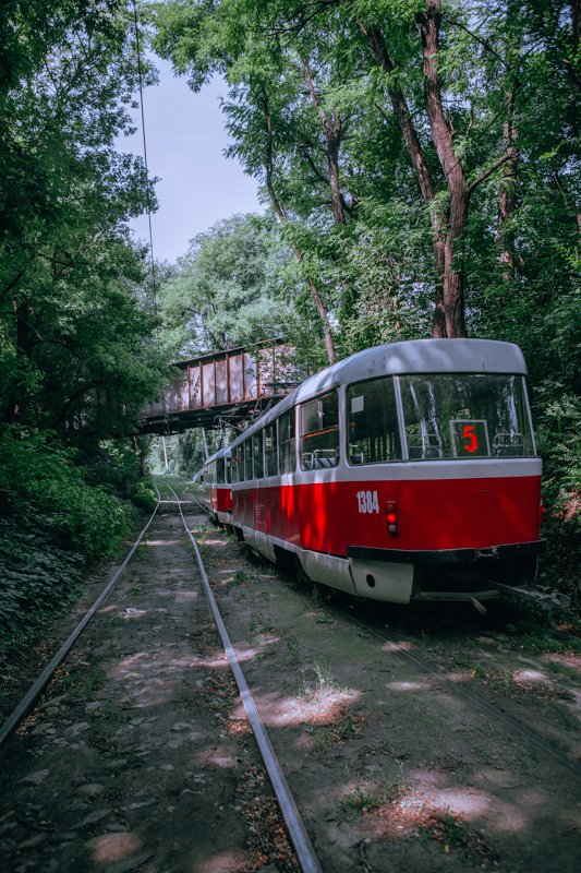 Контраст Контраст