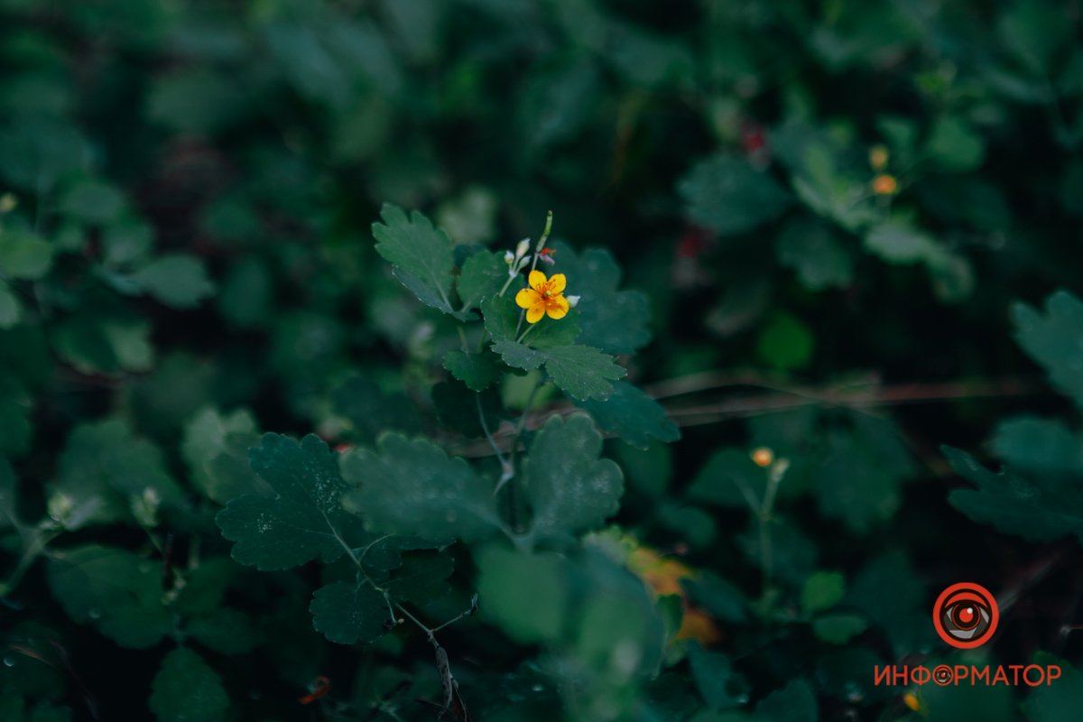 Немного прекрасного в вашу жизнь Немного прекрасного в вашу жизнь