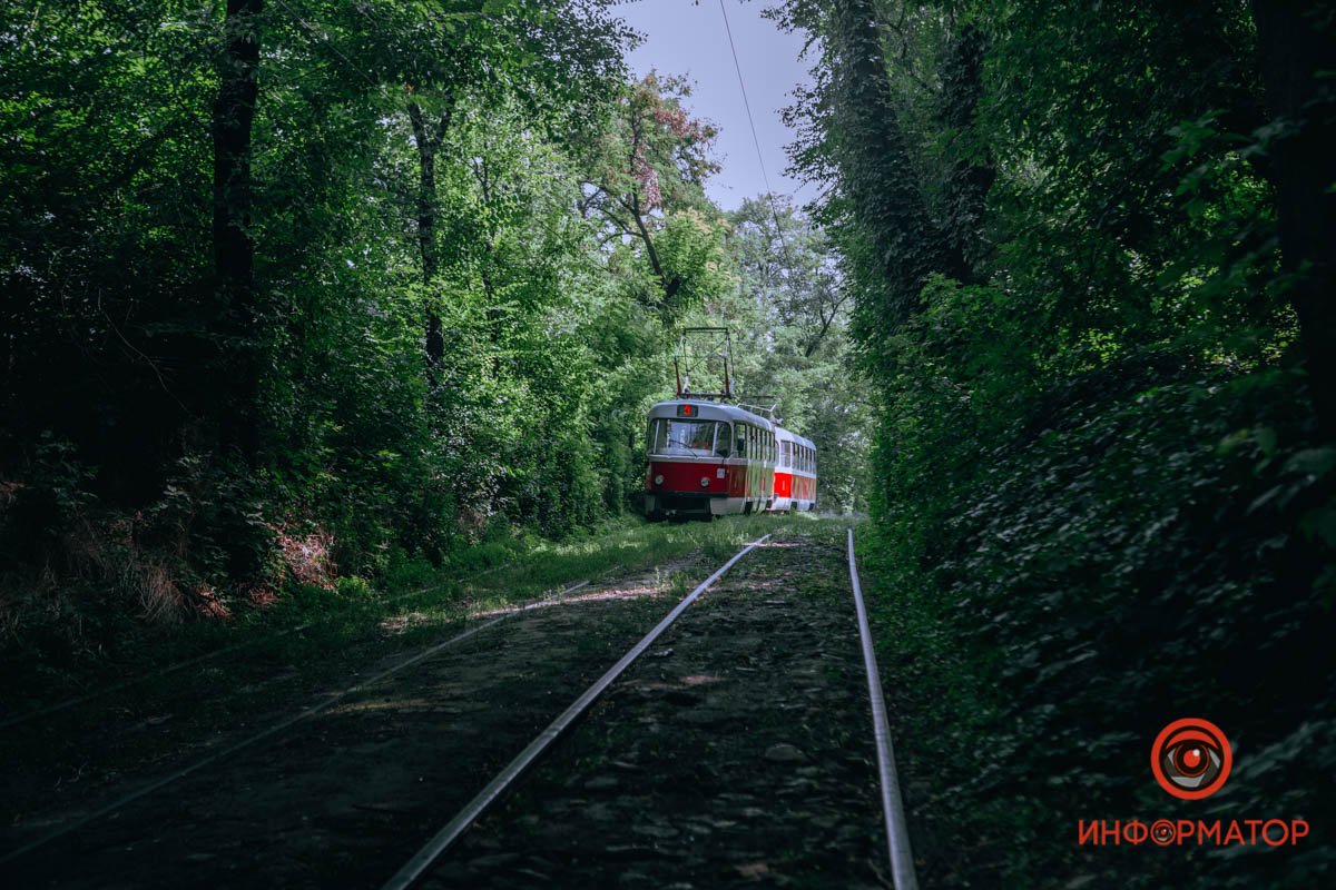 Тенистые аллеи Тенистые аллеи