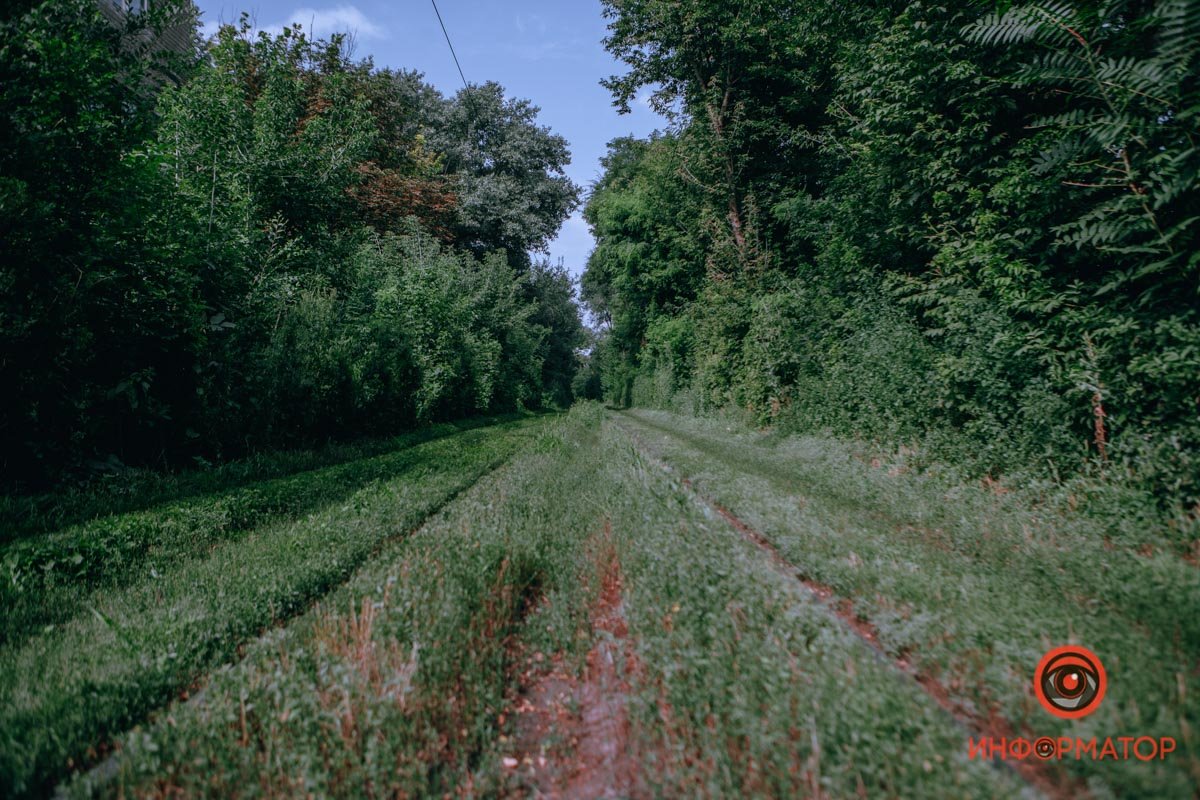 Уголок природы в черте города Уголок природы в черте города