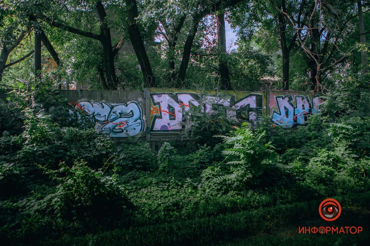 Много зелени не бывает Много зелени не бывает