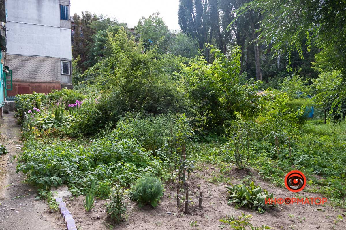 5 августа на проспекте Поля, 106а, 31-летний мужчина выпал из окна 4-го этажа 5 августа на проспекте Поля, 106а, 31-летний мужчина выпал из окна 4-го этажа