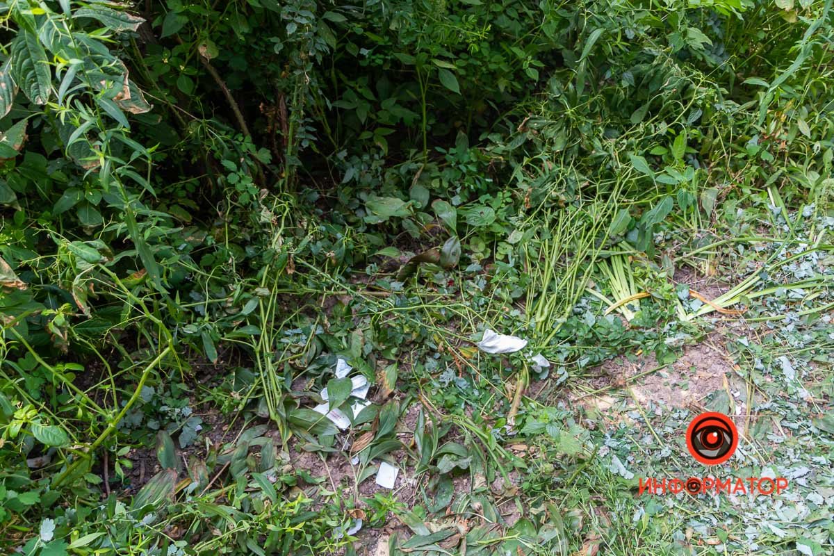 К счастью, он остался жив К счастью, он остался жив