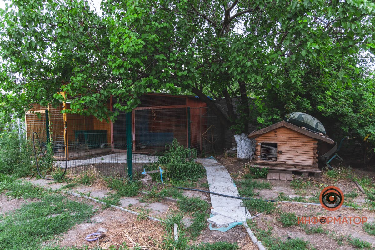 Часть вольеров во дворе приюта Часть вольеров во дворе приюта