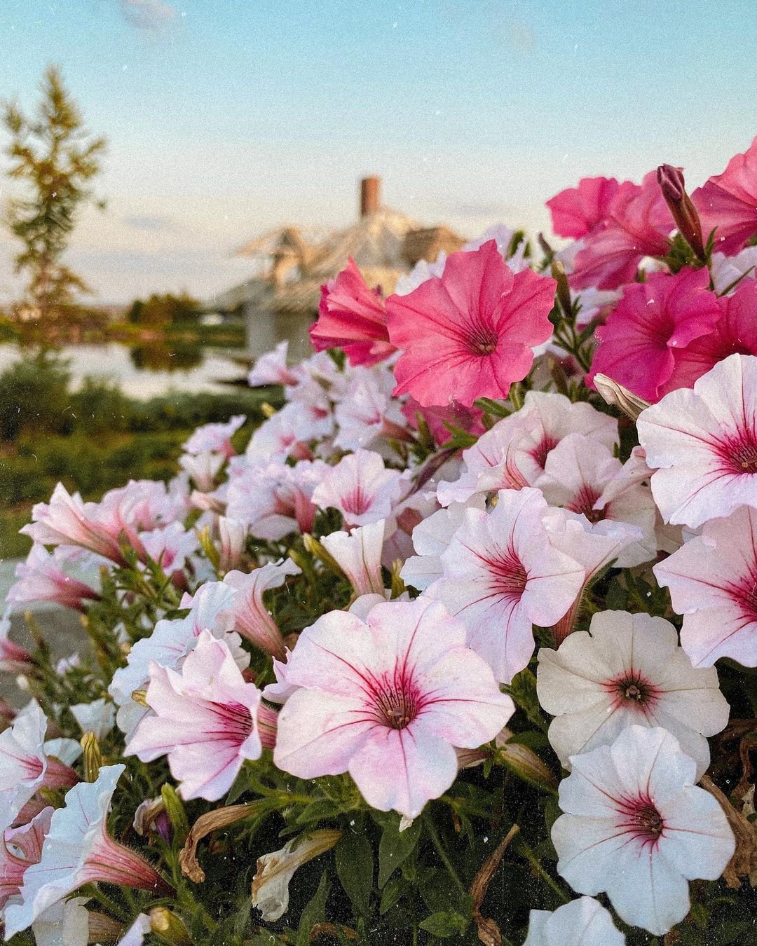 Фото: @alina1403alina Фото: @alina1403alina