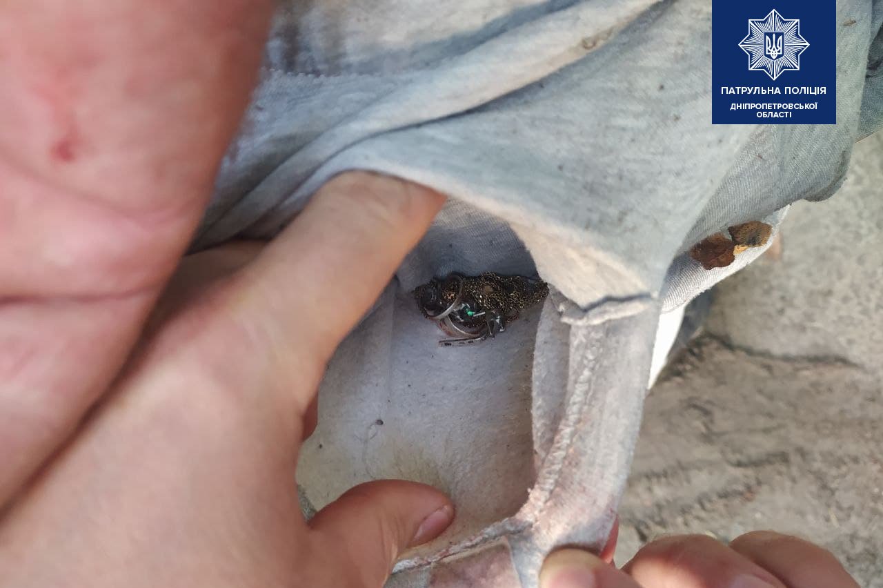 Он забрал у нее золотые сережки, цепочку и обручальное кольцо Он забрал у нее золотые сережки, цепочку и обручальное кольцо