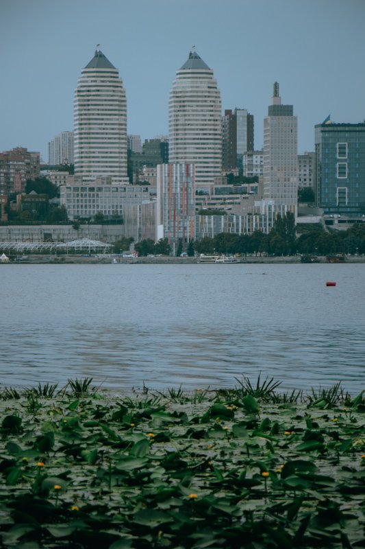 Насыщенный зеленый