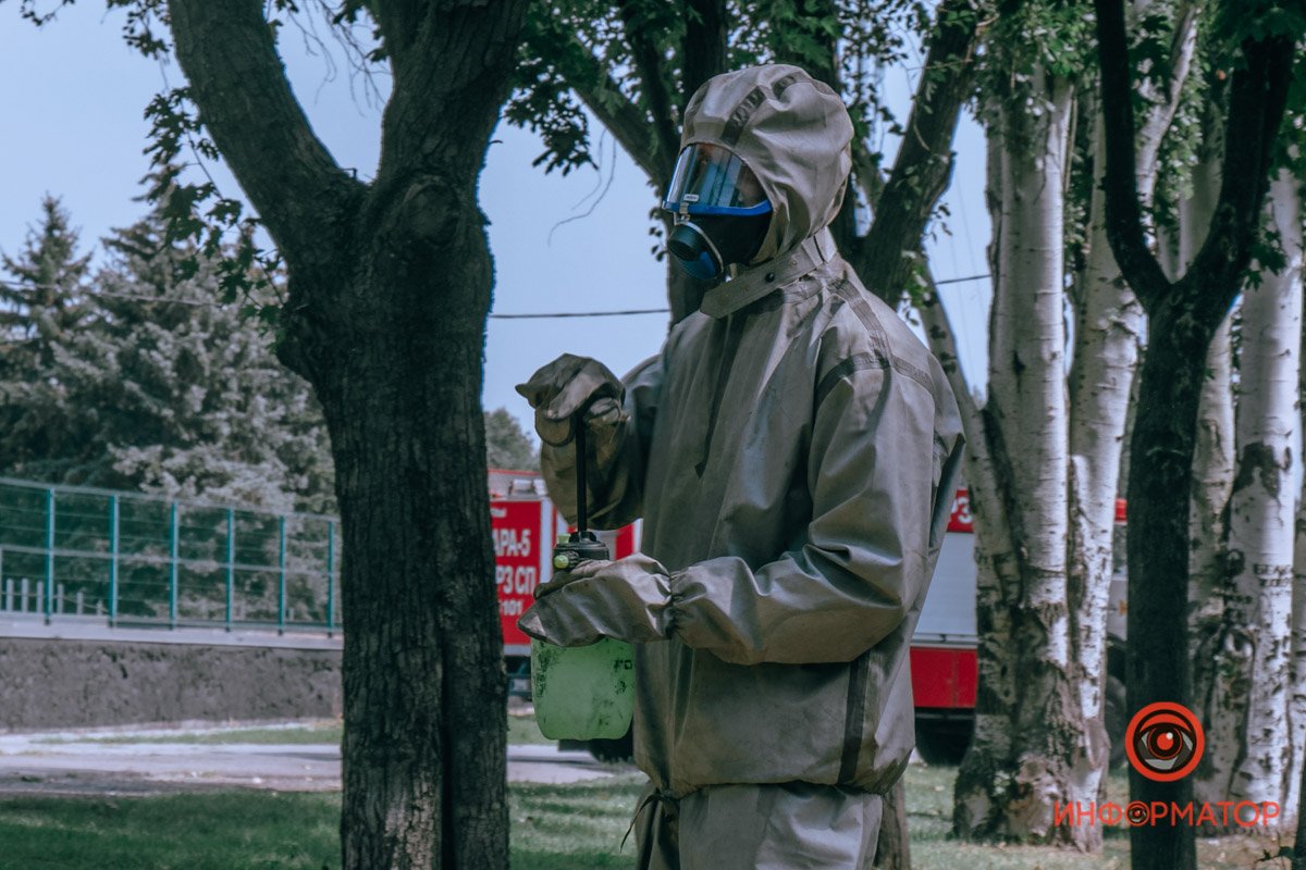 В дерево распылили раствор