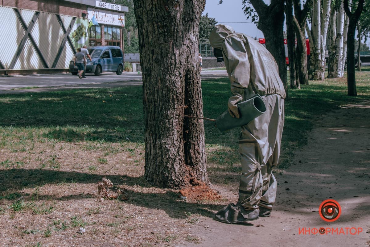 Рой ликвидировали