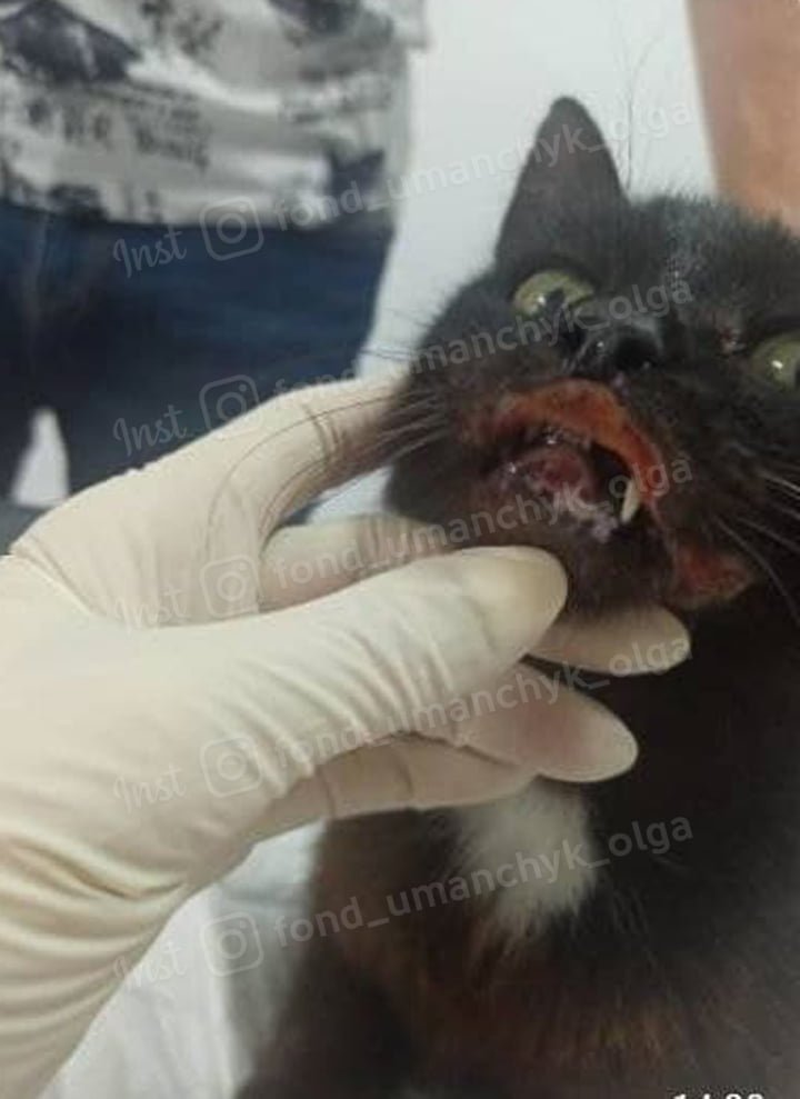 Впереди долгий путь Впереди долгий путь