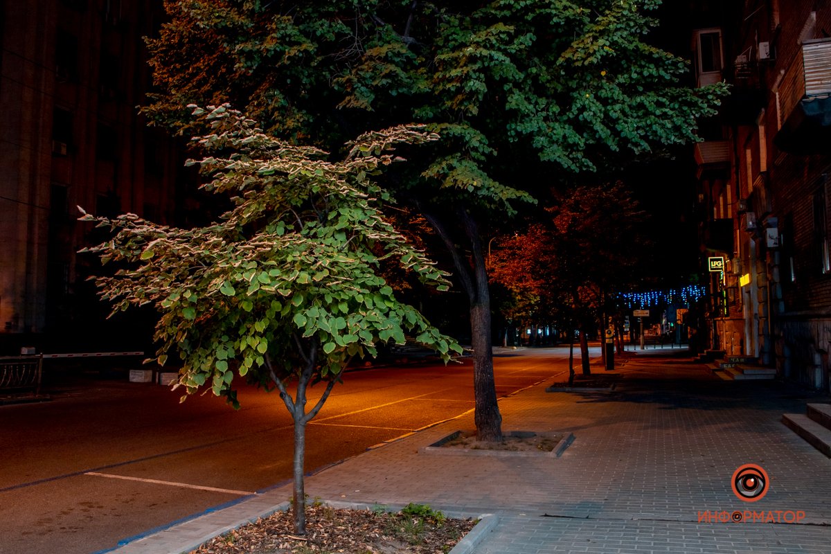 Прекрасное время для прогулки Прекрасное время для прогулки