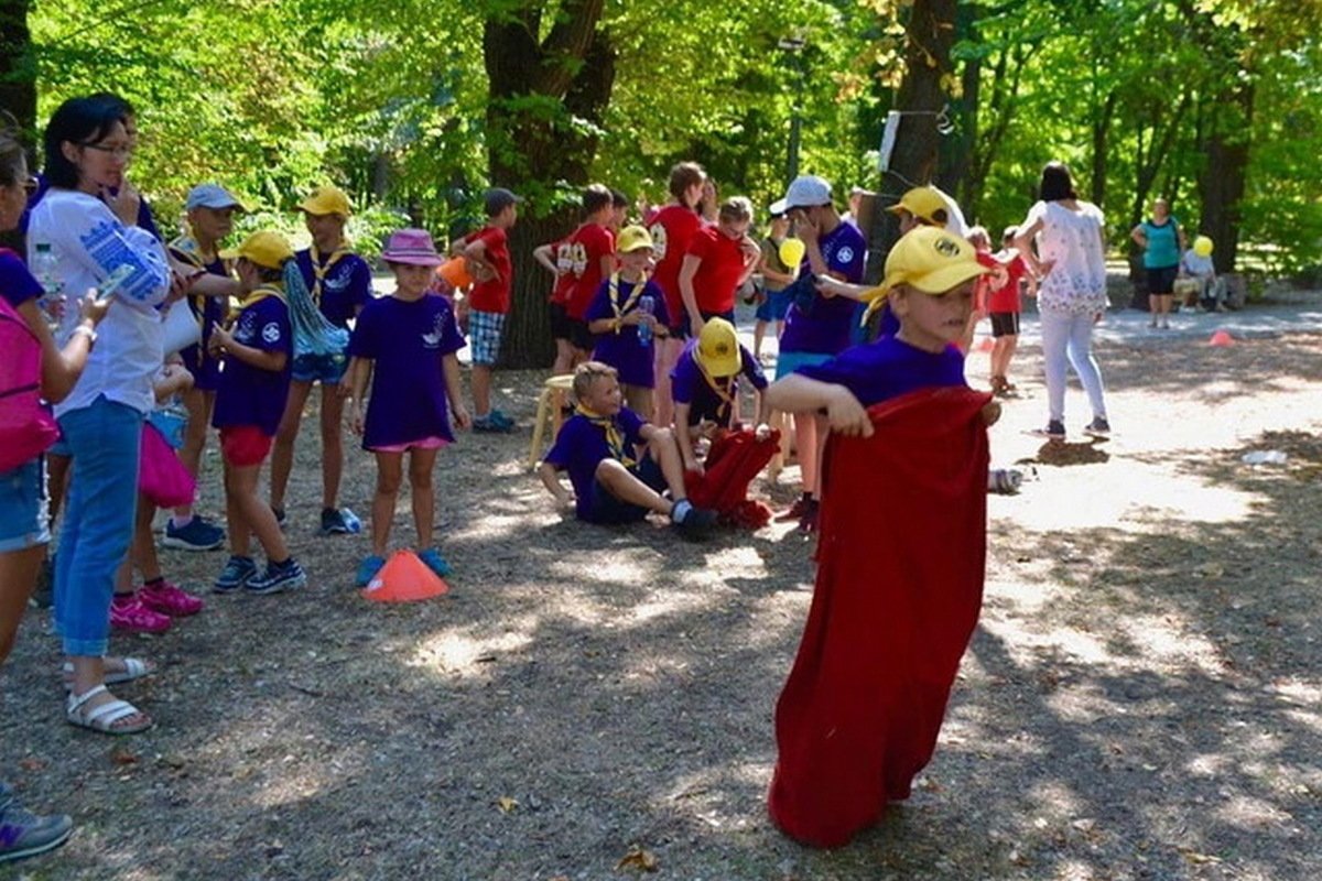 Игра "Котигорошко"