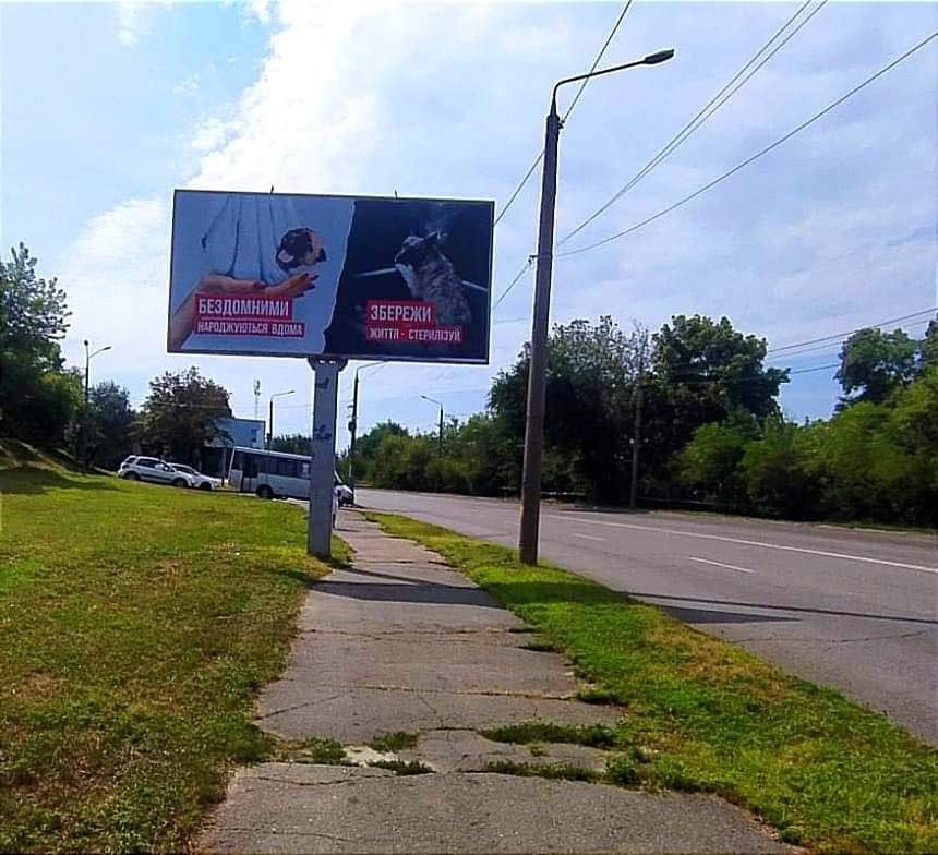 Новорожденных животных часто несут к "коробочницам" Новорожденных животных часто несут к "коробочницам"