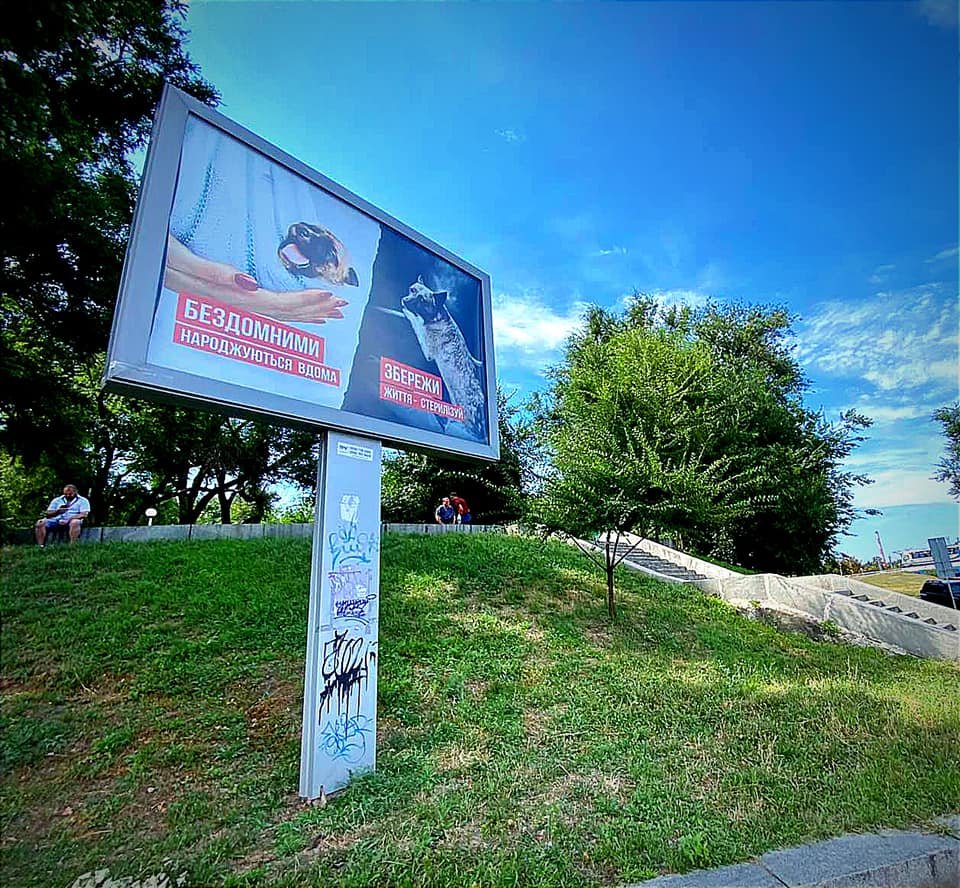 Стерилизация питомцев имеет свои преимущества Стерилизация питомцев имеет свои преимущества