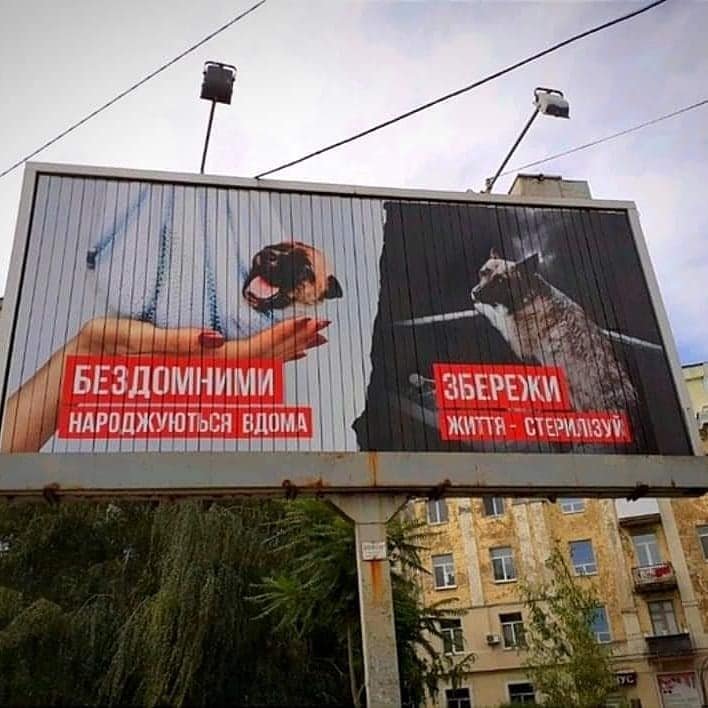 В Днепре заметили необычные билборды В Днепре заметили необычные билборды