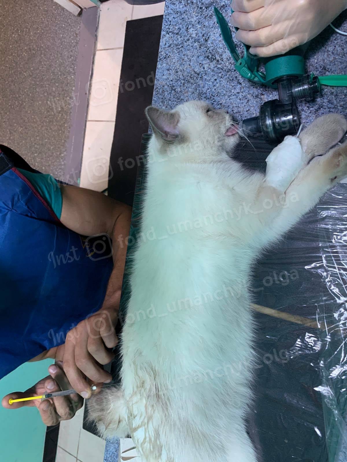 Перелом грудного отдела позвоночника между 9-м и 10-м позвонками Перелом грудного отдела позвоночника между 9-м и 10-м позвонками