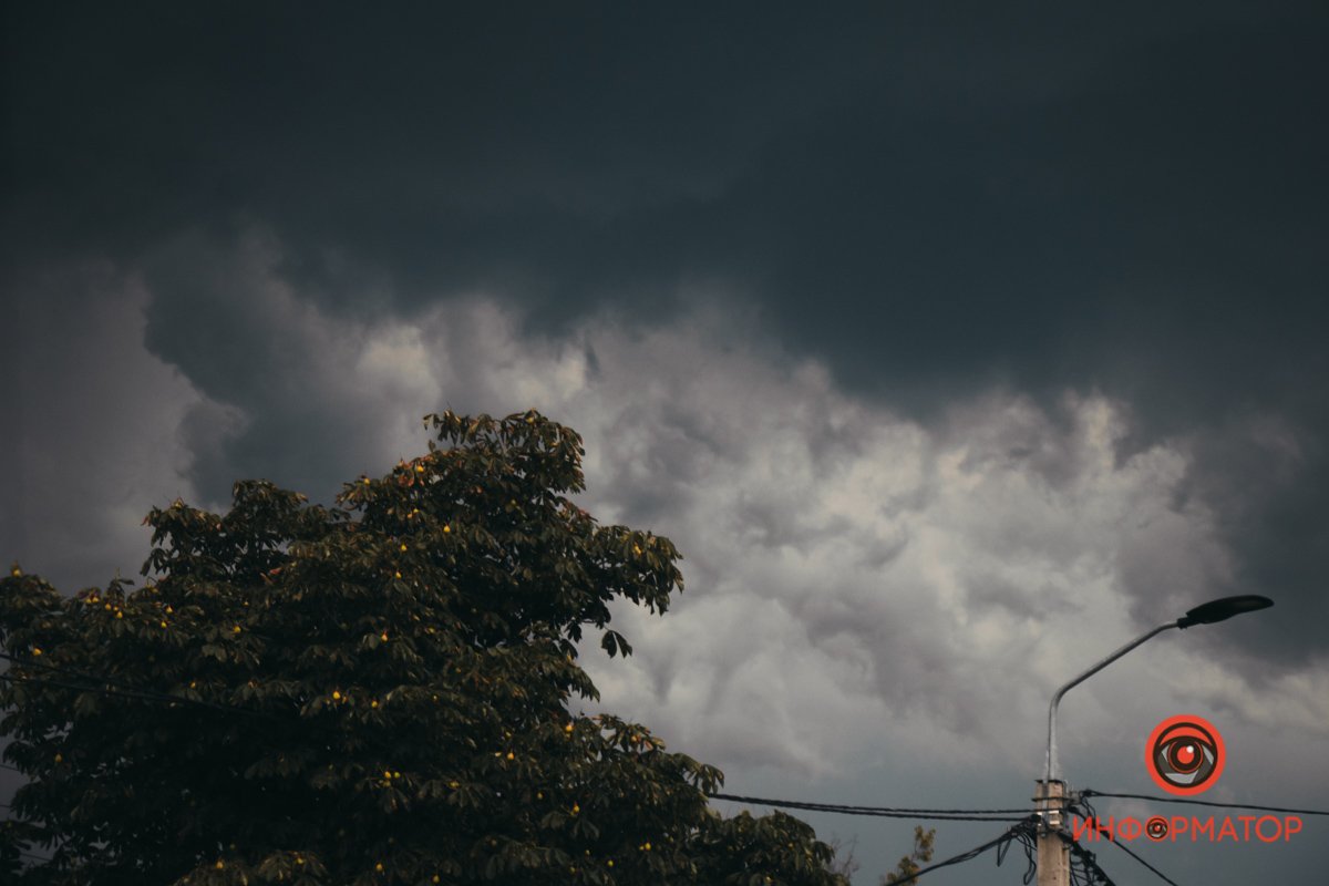 Выглядит грозно