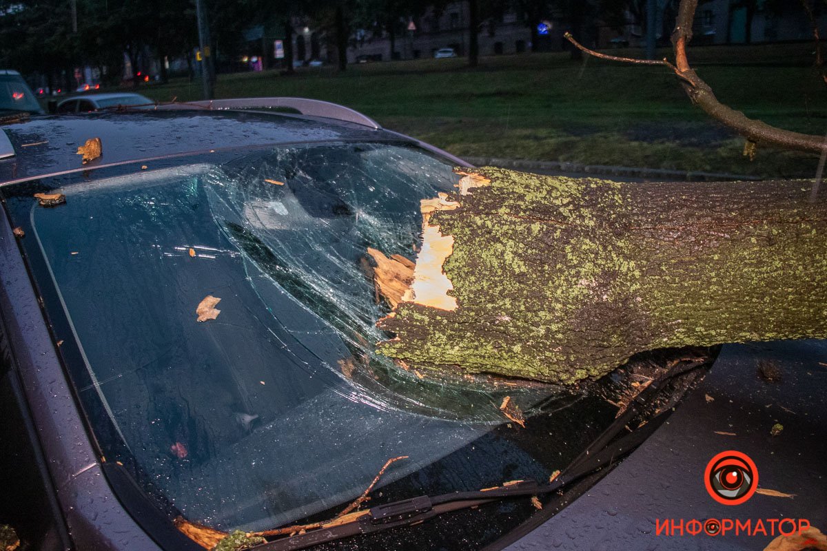 Никто не пострадал