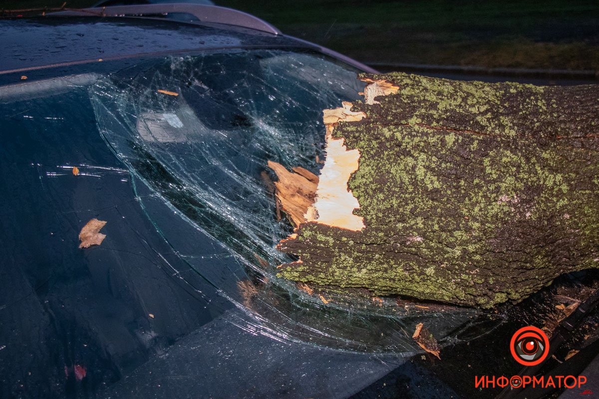 Спецслужбы пока еще не приехали