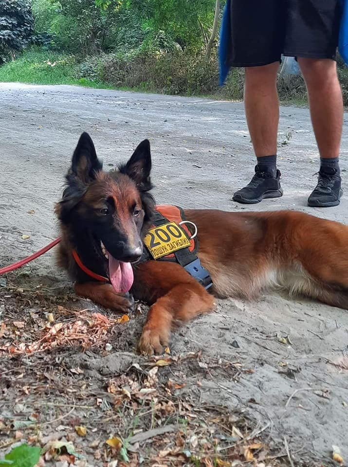 Волонтеры прошли около 20 километров Волонтеры прошли около 20 километров