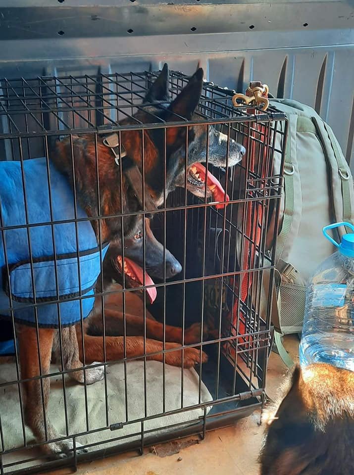 Поиски продолжаются Поиски продолжаются