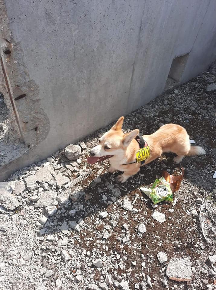 Десятки километров по жаре Десятки километров по жаре