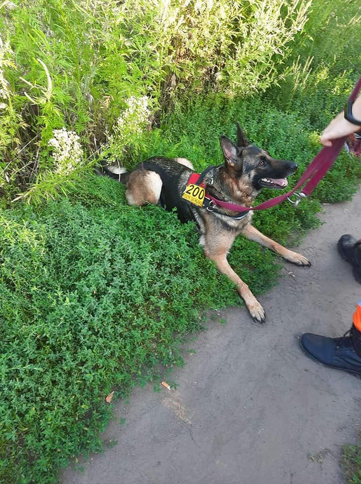 Последний раз Сергея видели на улице Строителей в Каменском Последний раз Сергея видели на улице Строителей в Каменском