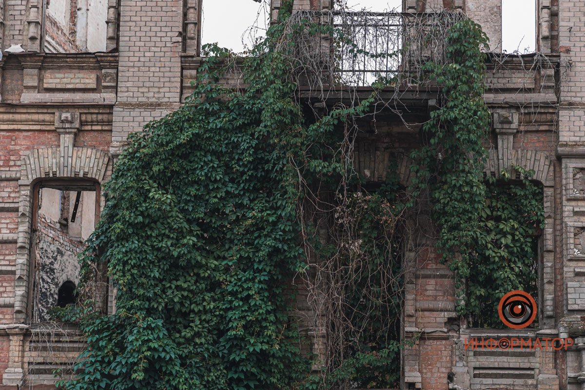 Фасад здания зарос диким виноградом
