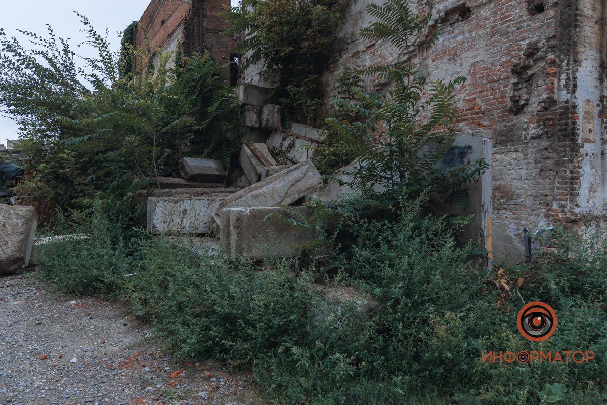 Место заросло дикими кустами и виноградом