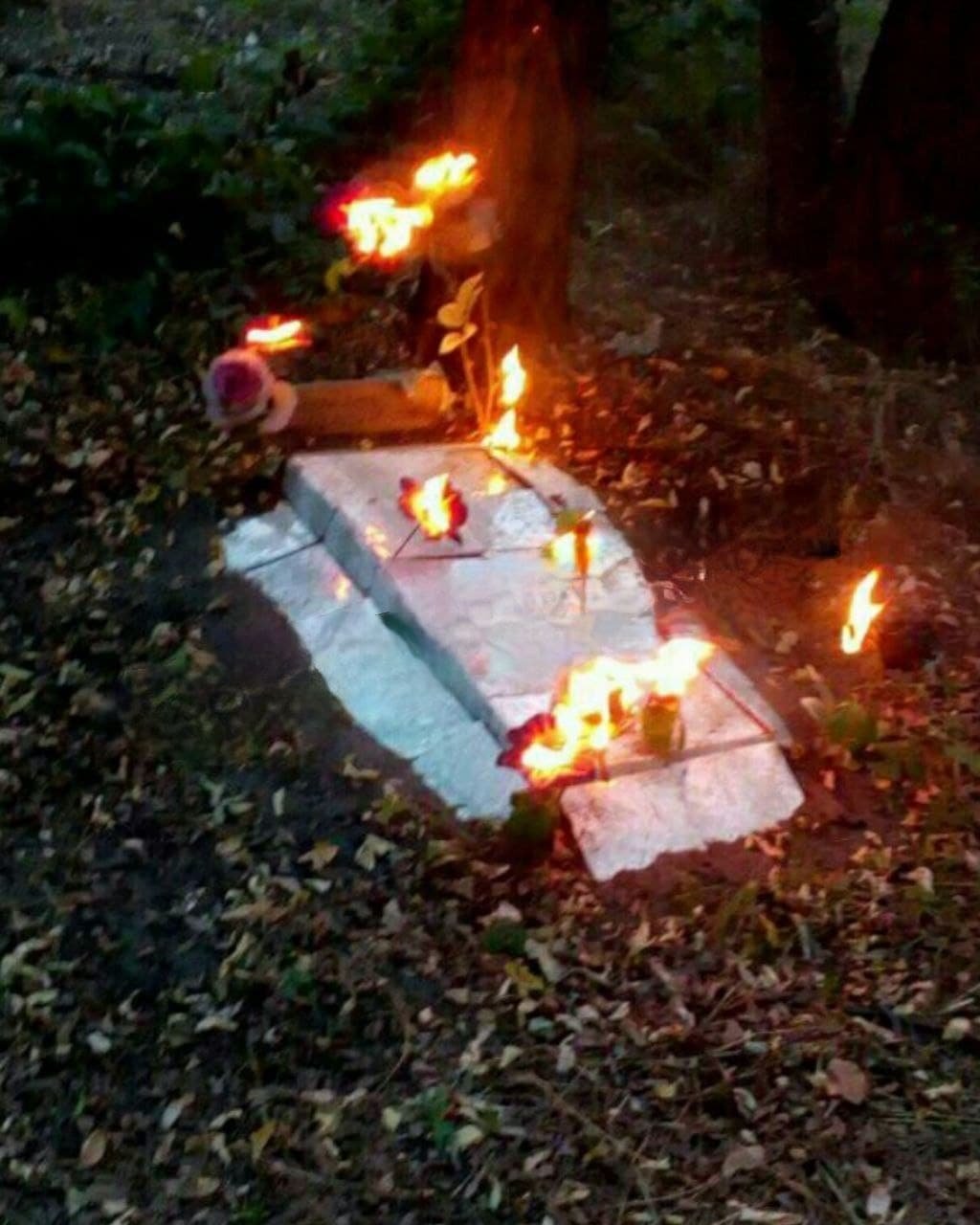 В Каменском двое подростков рушили могилы на кладбище домашних животных, которое находится в левобережном лесу В Каменском двое подростков рушили могилы на кладбище домашних животных, которое находится в левобережном лесу