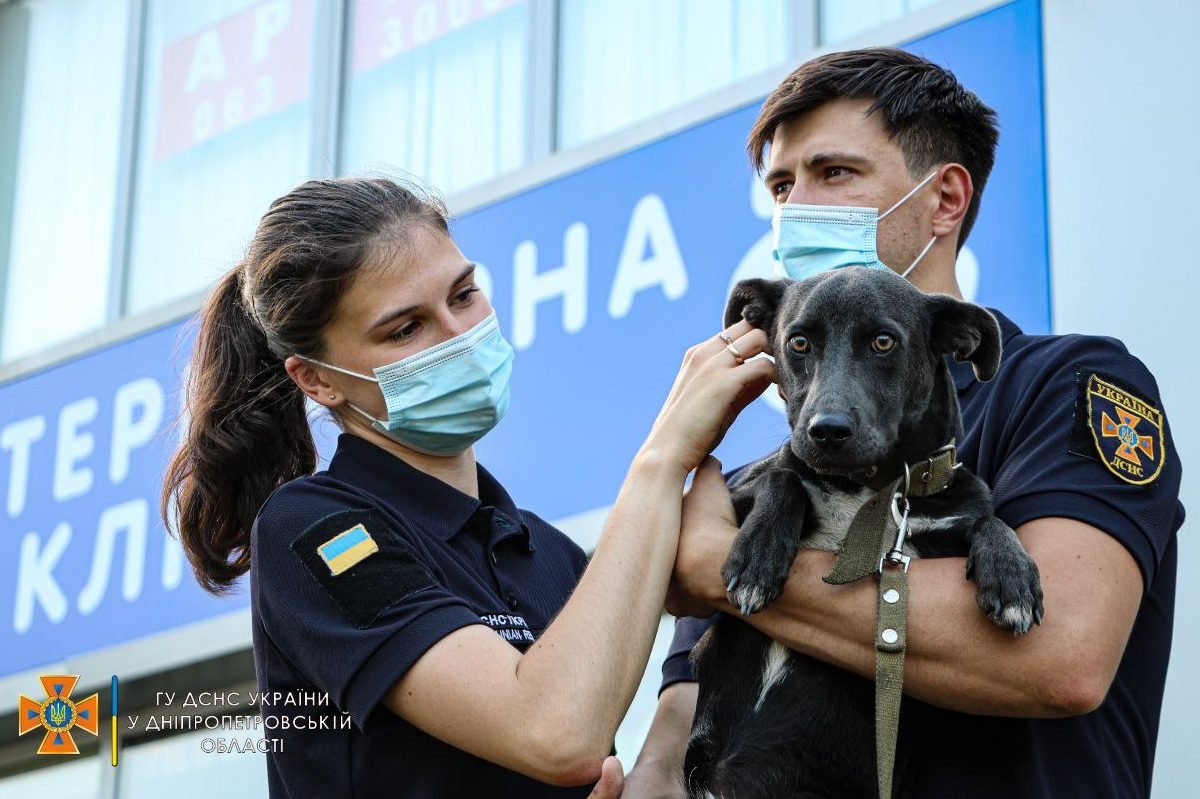 В гости к собакам и кошкам приехали сотрудники ГСЧС