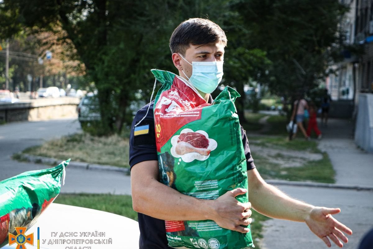 Также собакам и кошкам очень нужна еда, которую владельцы приютов часто покупают в долг