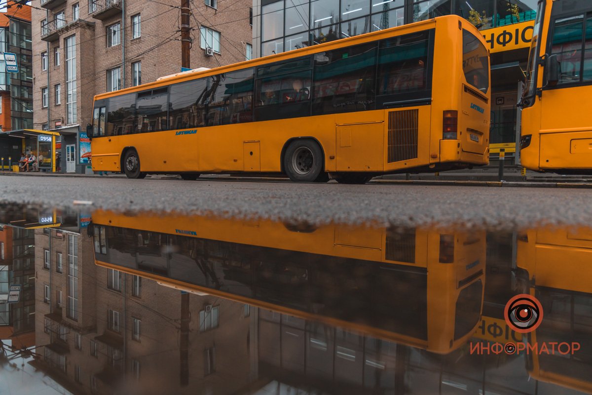 Транспорт разукрасил серые улочки