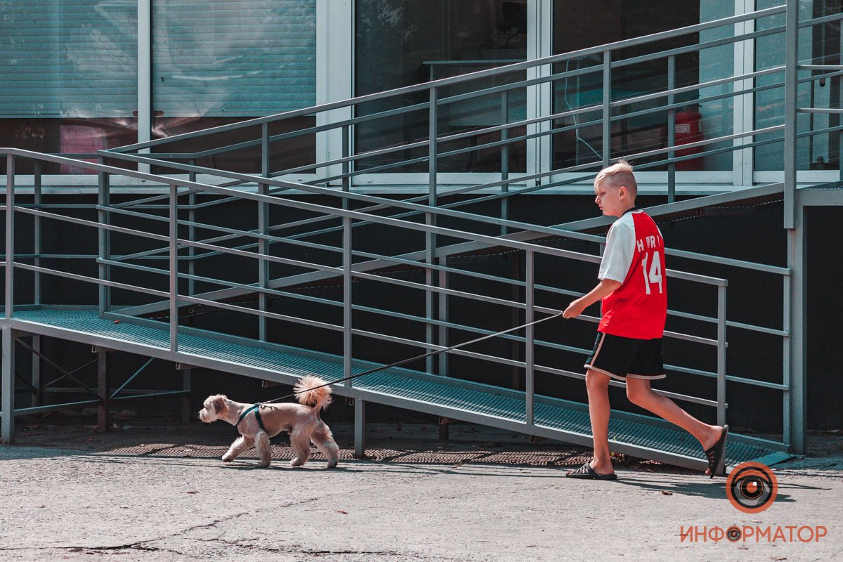 Заставляет гулять Заставляет гулять