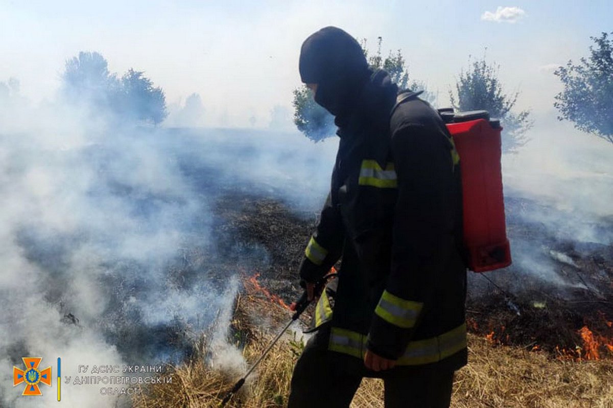 Почти 6 гектаров