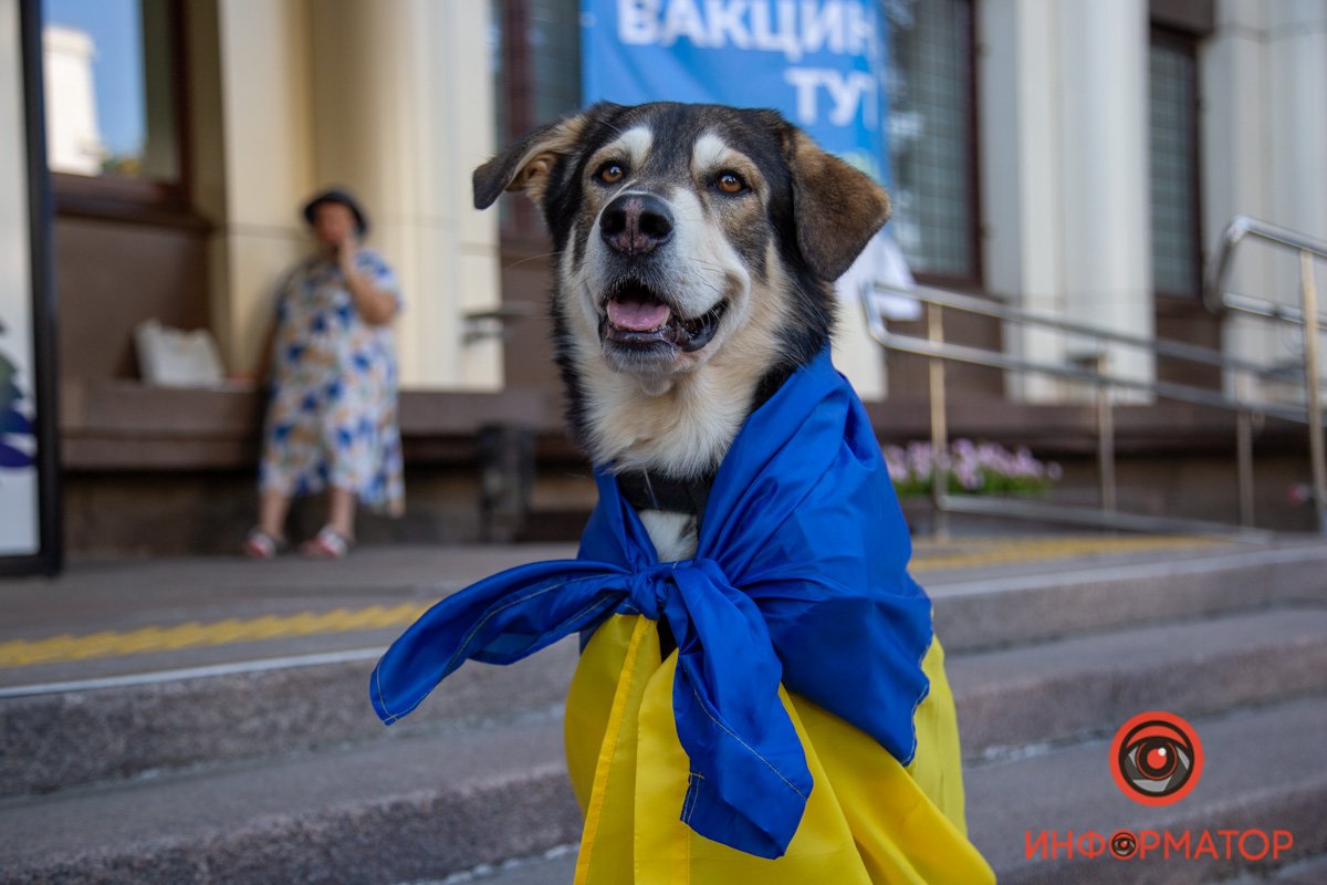 Слишком мило