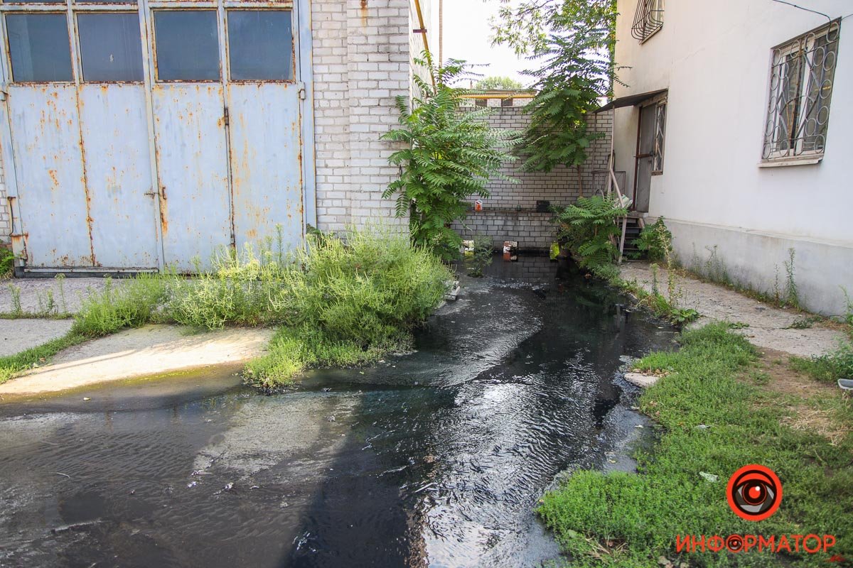 Не самое приятное зрелище