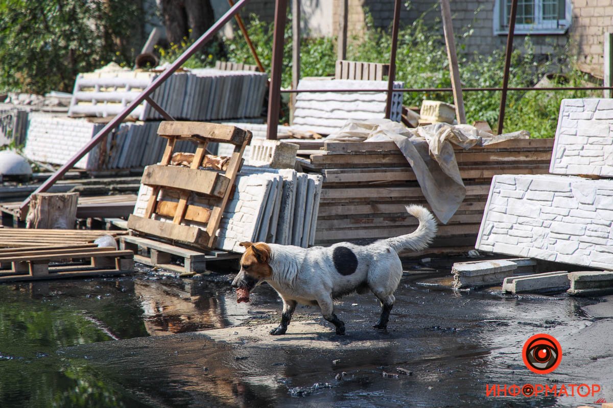 Море по колено 