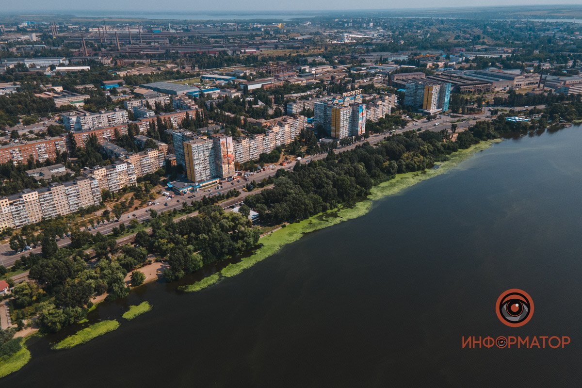 Не кувшинки, а кубышки: в Днепре зацвели редкие водяные растения 8