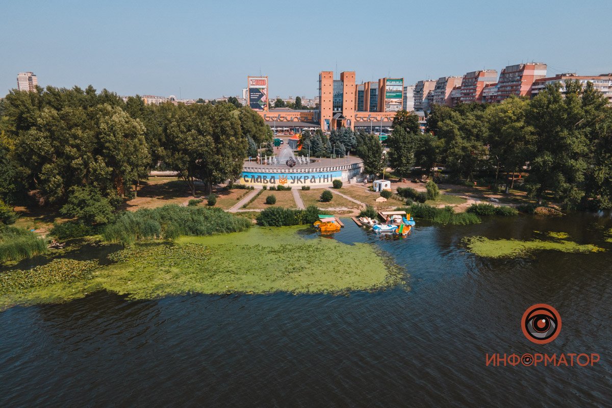 Не кувшинки, а кубышки: в Днепре зацвели редкие водяные растения 19