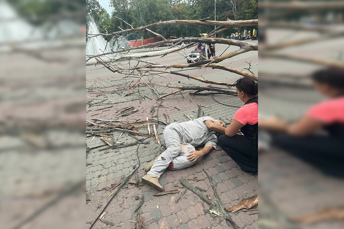 В сквере Героев дерево упало на мужчину В сквере Героев дерево упало на мужчину