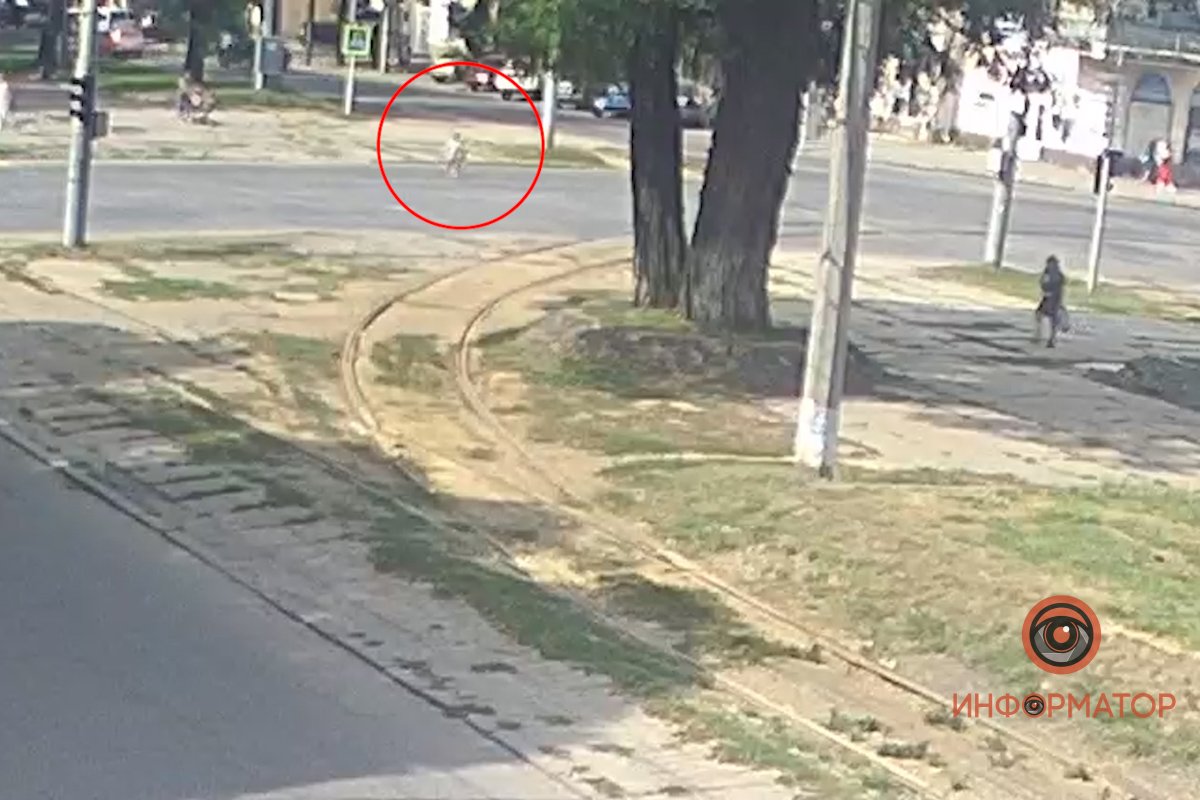 Полицию вызвали очевидцы, которые заметили детей бегающих перед автомобилями