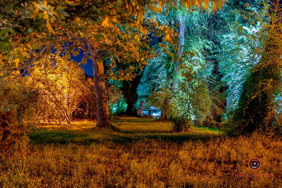 Буйство парковых красок 