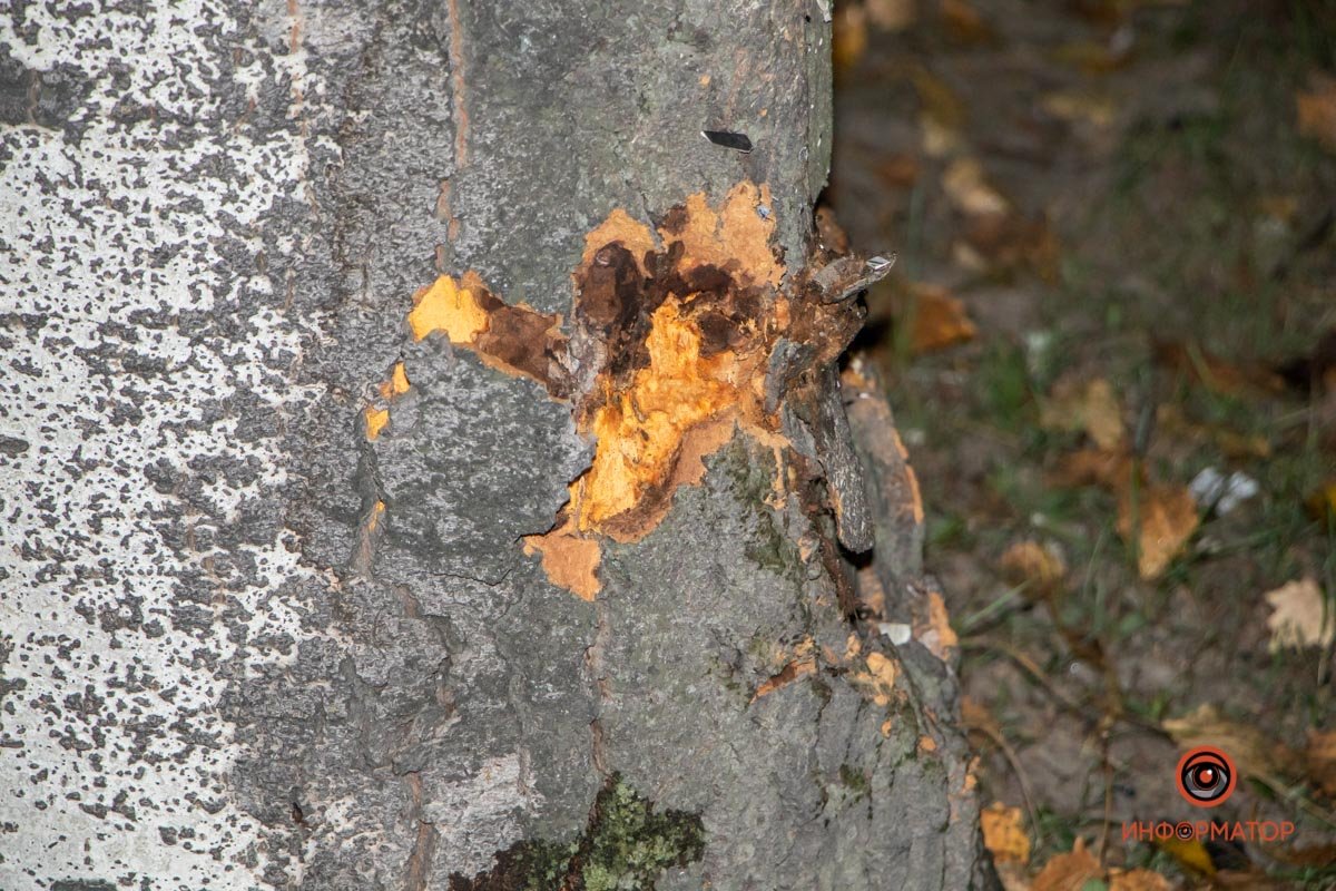 След от удара След от удара