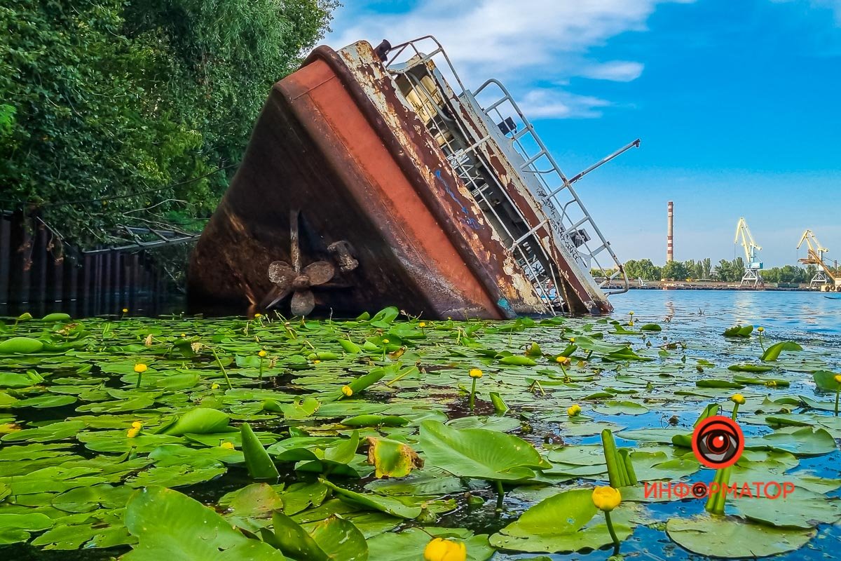 История, длиною в вечность