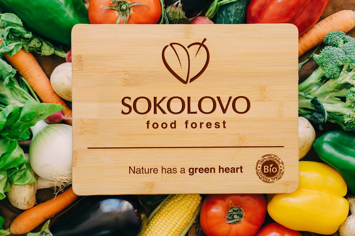 Гастротур по Украине: что попало на карту вкуснях из Днепропетровской области 4