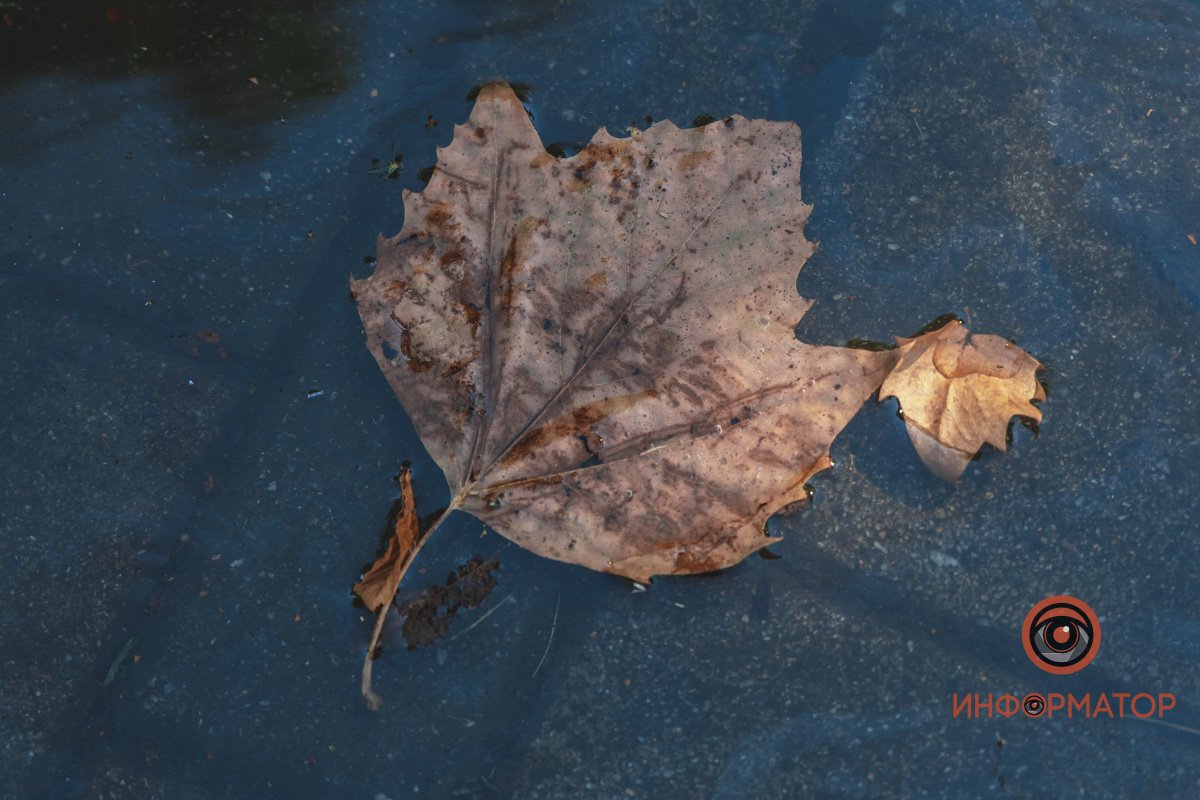 Предвестник осени 