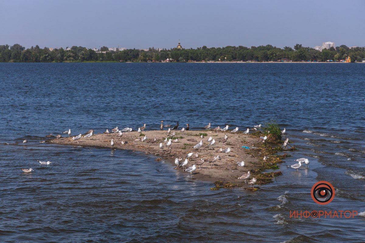 Последняя летняя вечеринка 